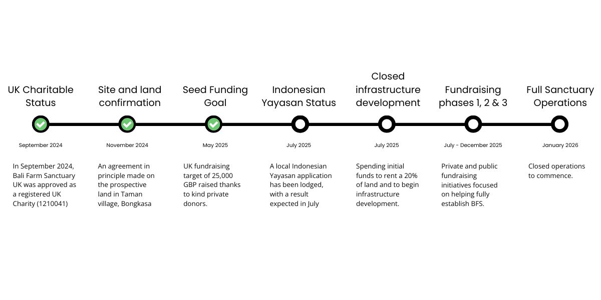 timeline